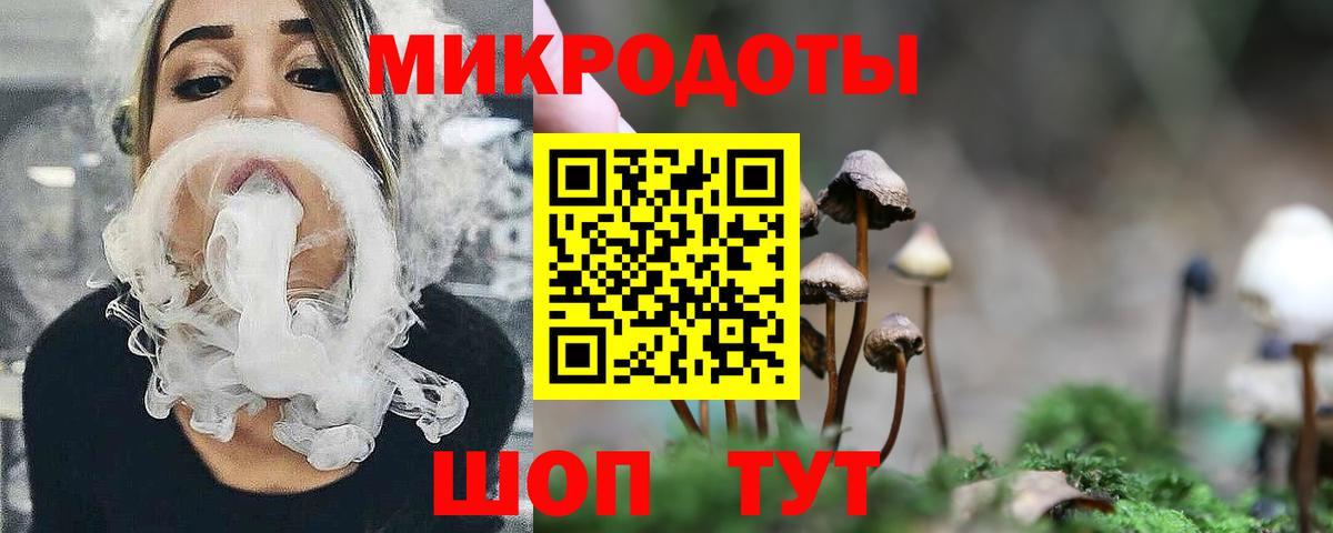 Псилоцибиновые грибы мицелий  Вход с VPN  Чита 